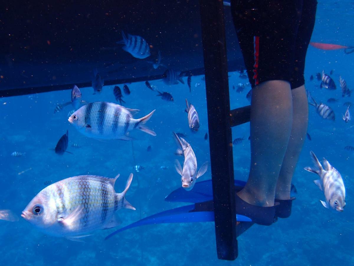 Blue Coral Homestay Karimunjawa Dış mekan fotoğraf