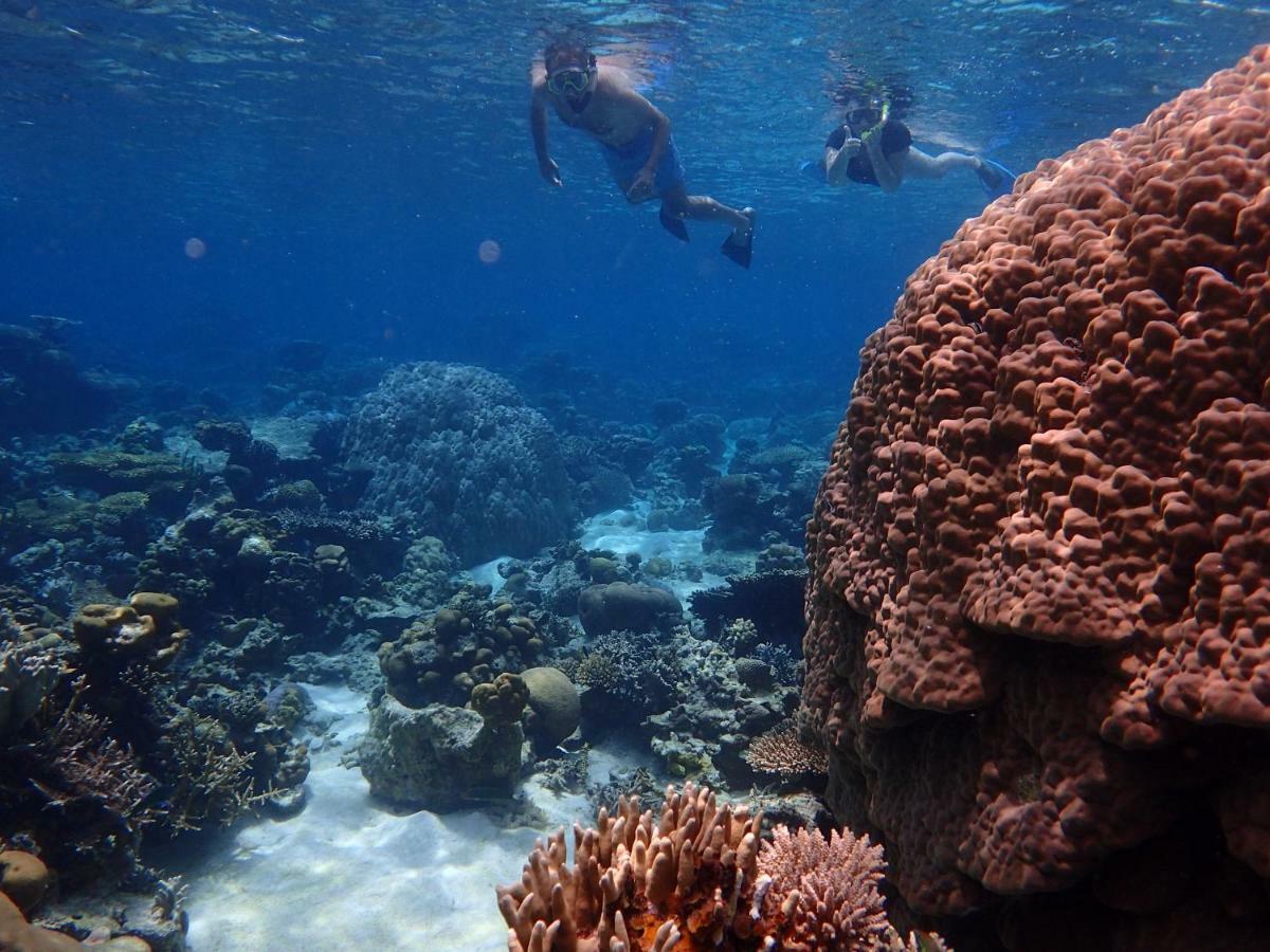 Blue Coral Homestay Karimunjawa Dış mekan fotoğraf