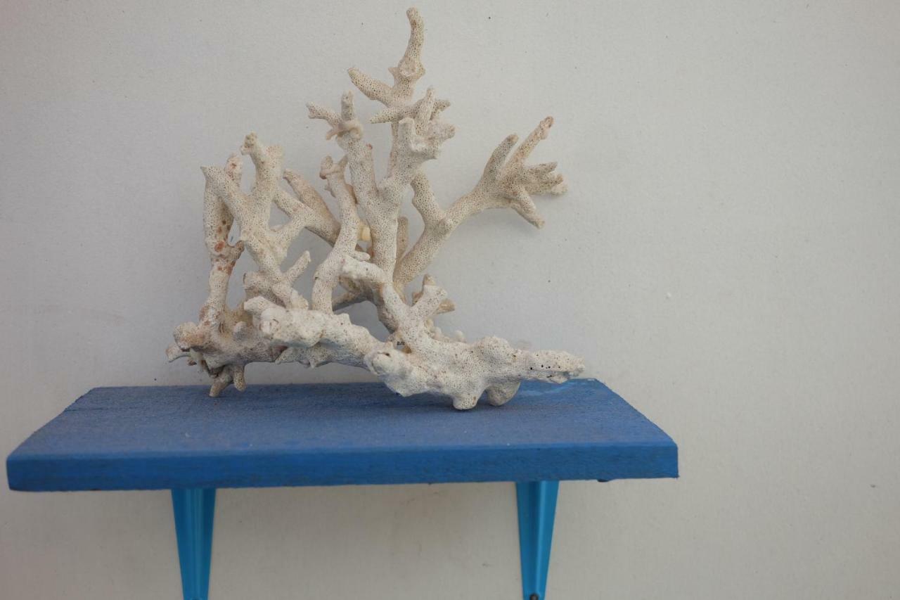 Blue Coral Homestay Karimunjawa Dış mekan fotoğraf